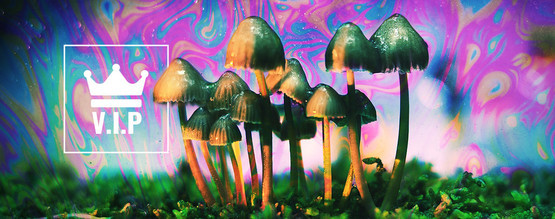 Psychedelische VIPs