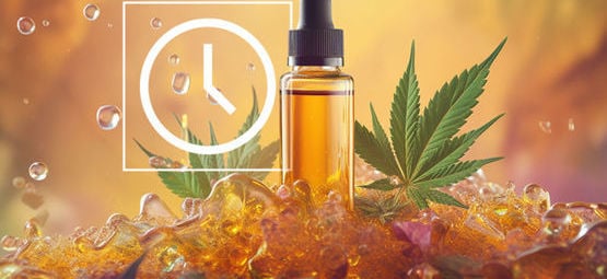 Wie Lange Halten Die Wirkungen Von CBD An?