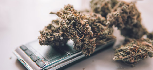 Waage wiegt Cannabis Waage wiegt Cannabis