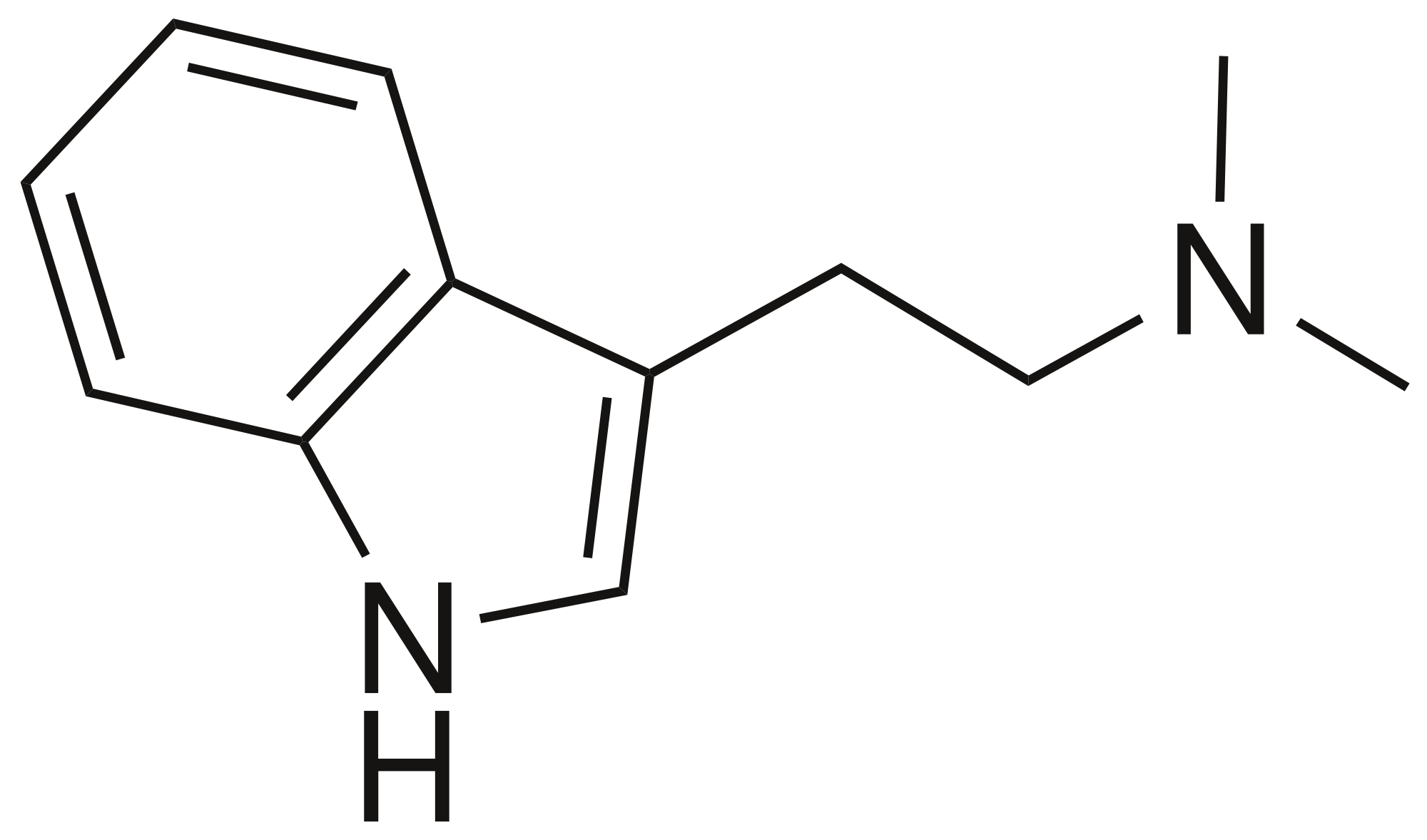 Dimethyltryptamin Dimethyltryptamin