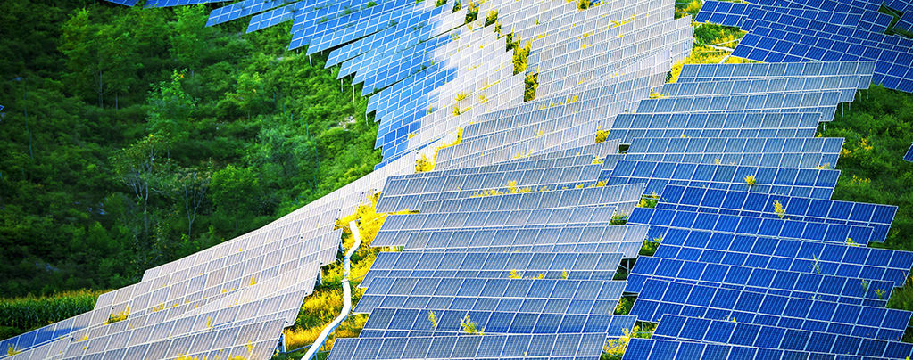Wie Solarmodule Grow-Räume revolutionieren könnten