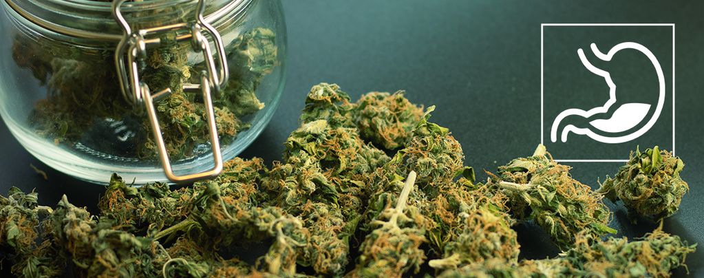 Wie Beeinflusst Cannabis Das Verdauungssystem?