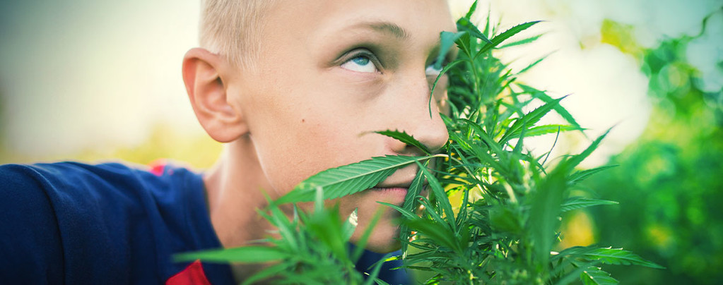 Highen Wirden Ohne Cannabis