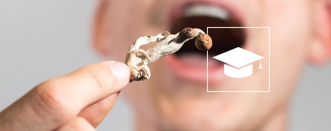 Magic Mushrooms Als Lernhilfe: Funktioniert Das?