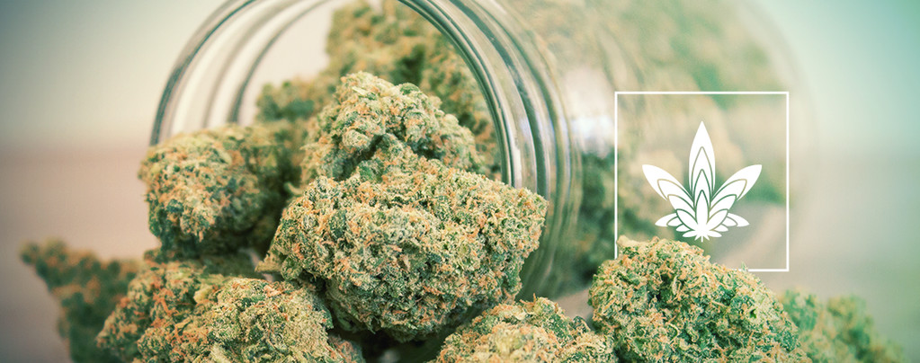 Größere Cannabis Buds