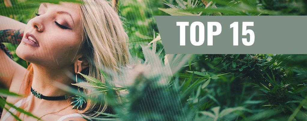 Top 15 Der Cannabis-Influencerinnen Auf Instagram