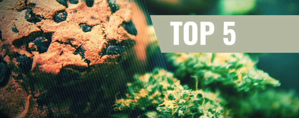 Die 5 besten Cannabis-Cookies Rezepte