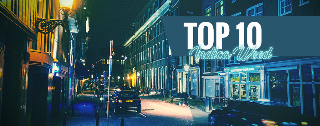 Top 10 Der Amsterdamer Coffeeshops Mit Den Besten Indica-blüten