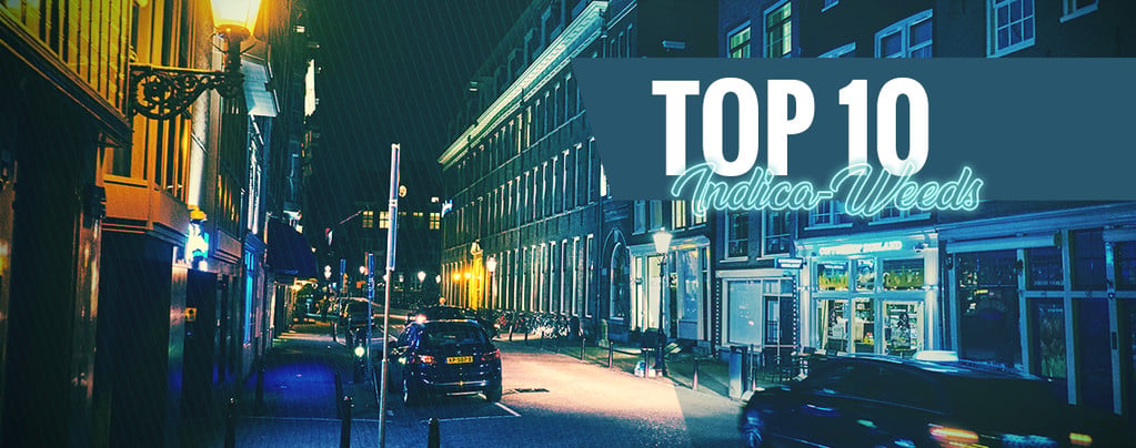 Top 10 Der Amsterdamer Coffeeshops Mit Den Besten Indica-blüten
