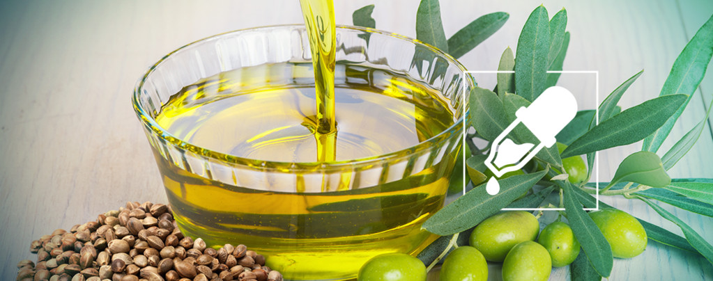 Was Ist Der Bessere Trägerstoff Für CBD: Hanfsamenöl Oder Olivenöl?