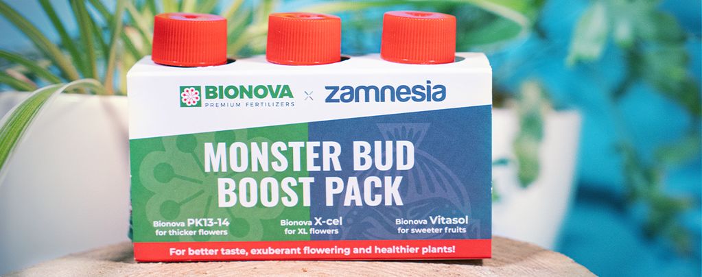 Verwende Das Monster Bud Boost Pack Für Fruchtigere Cannabis-Buds