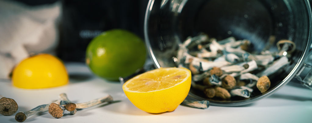Zubereitung Eines Lemon Teks Für Schnellere Mushroom-/Trüffel-Trips