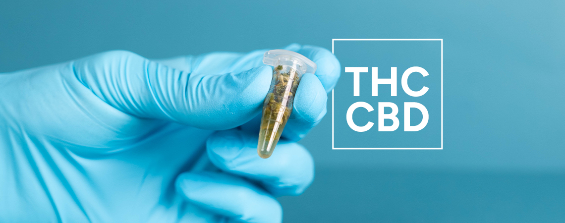 Wie Man Den THC- & CBD-Gehalt Von Cannabisprodukten Testet