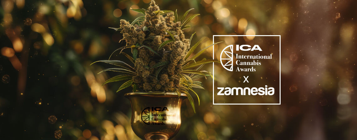International Cannabis Awards 2024 – Zamnesia Räumt Ab!