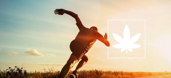 Der Einfluss Von Cannabis Auf Die Sportliche Leistung