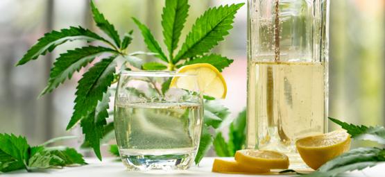Wie Man Ginjah Herstellt: Cannabis, Gin Und Tonic