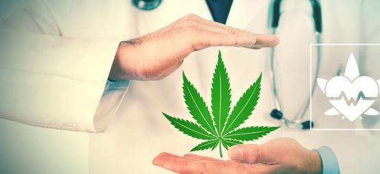 Was Ist Die Beste Konsummethode Von Medizinischem Cannabis?