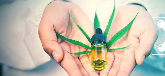 Was Ist CBG Und Wie Kann Es Mit CBD Verglichen Werden?