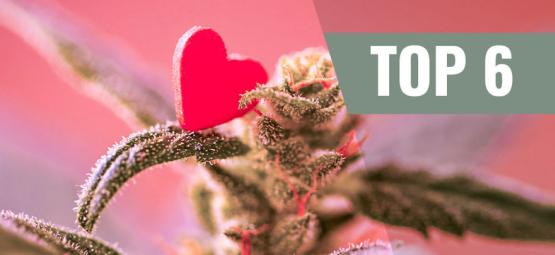 Top 6 Valentinstag Cannabissorten