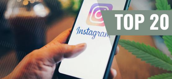 Die 20 Besten Weed-Instagram-Accounts, Denen Du Folgen Musst [2021 Update]