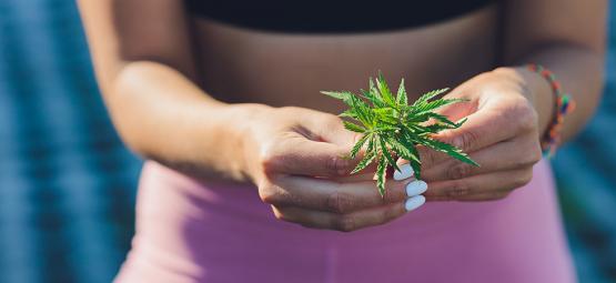 Kann Cannabis Einem Helfen, Sein Gewicht Zu Reduzieren?
