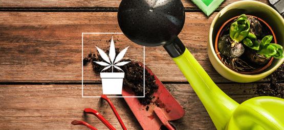 10 Unverzichtbare Werkzeuge Für Cannabisanbauer