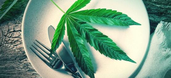 Sind Frische Cannabisblätter Ein Superfood?