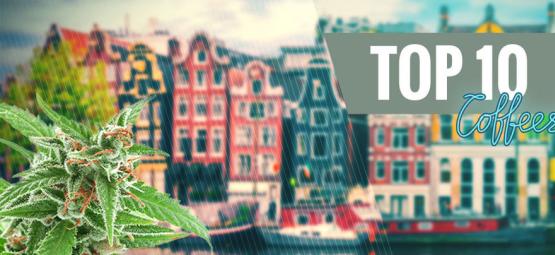 Die Top 10 Cannabissorten In Den Coffeeshops