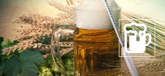 Das Hydrometer: Das Geheimnis Für Das Brauen Eines Guten Bieres