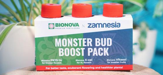 Verwende Das Monster Bud Boost Pack Für Fruchtigere Cannabis-Buds