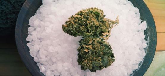 Wie Kann Bittersalz Cannabispflanzen Helfen?