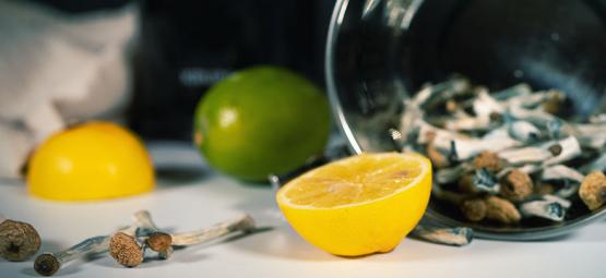 Zubereitung Eines Lemon Teks Für Schnellere Mushroom-/Trüffel-Trips