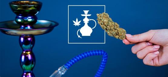 Cannabis In Einer Shisha Rauchen: Was Du Wissen Musst