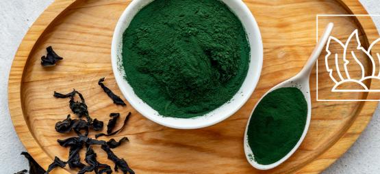 Ist Chlorella Das Ultimative Superfood?