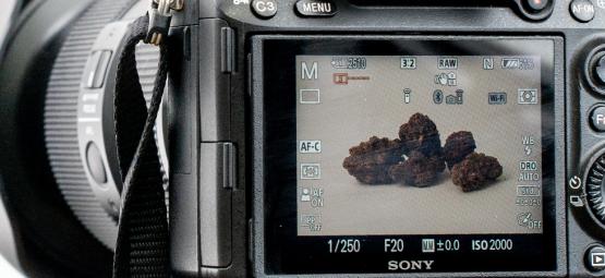 Cannabisfotografie: Wie Man Erstklassige Bilder Macht