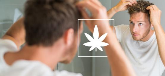 Die Auswirkungen Von Cannabis Auf Das Haar