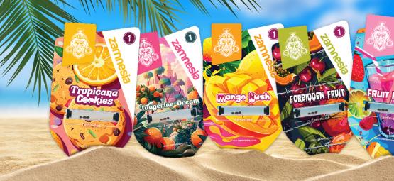 Zamnesia Seeds Show Teil 3: Club Tropicana