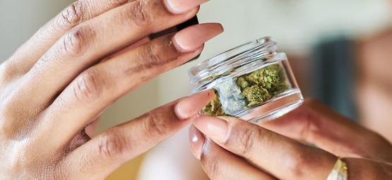 Die Vielen Nutzen Von Cannabis