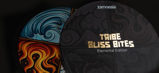 TRIBE Bliss Bites Elemental Edition: Wähle deine Stimmung, teile deine Reise