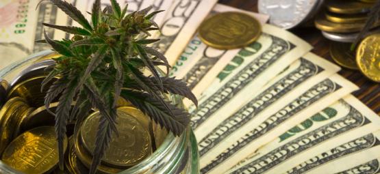 Ccannabis Und Die Amerikanische Wirtschaft