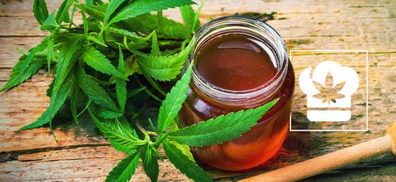Rezept: Wie man mit Cannabis anreicherten Honig herstellt