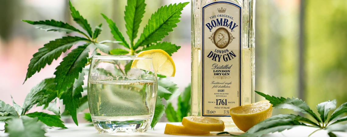 Wie man Ginjah herstellt: Cannabis, Gin und Tonic