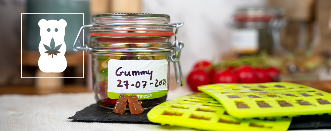 Wie man Marihuana-Gummibärchen macht Wie man Marihuana-Gummibärchen macht