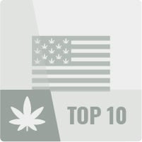 Top 10 USA Cannabis Strains