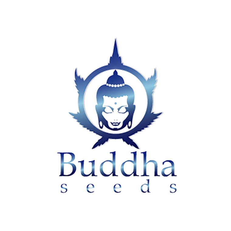 Buddha Seeds