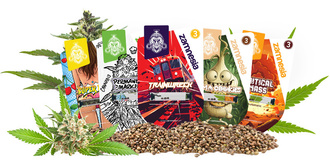 Top 5 Zamnesia Seeds
