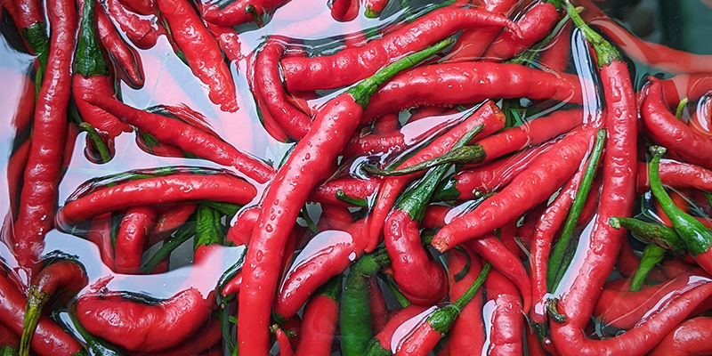 Wash Your Chilies Thoroughly