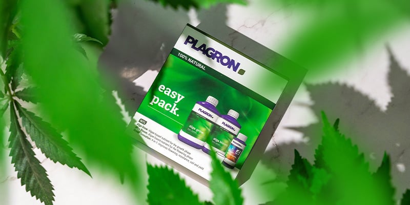 Growing organic: Easier than ever before Growing organic: Easier than ever before