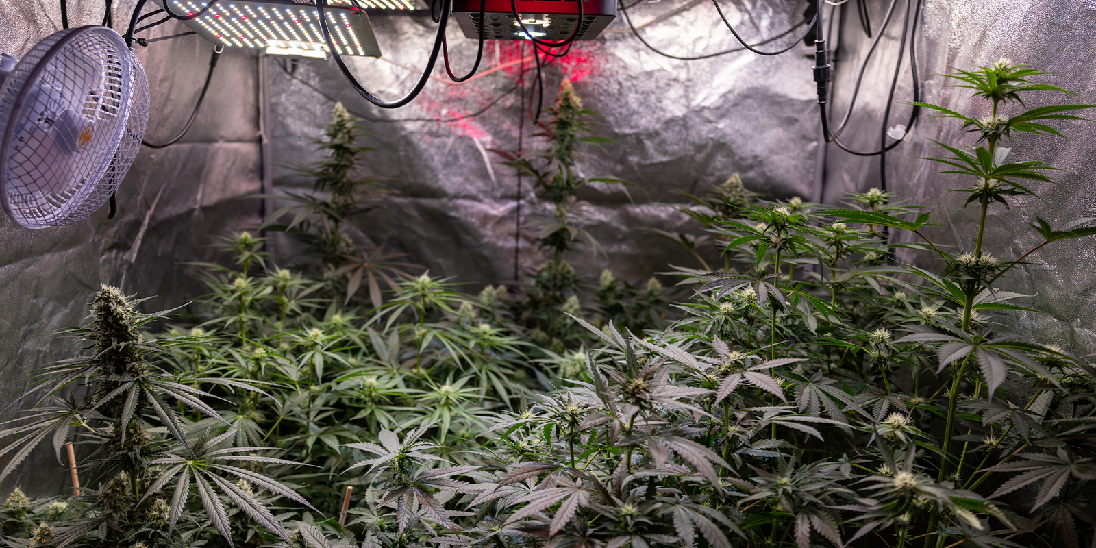 3. Make small, targeted adjustments 3. Make small, targeted adjustments