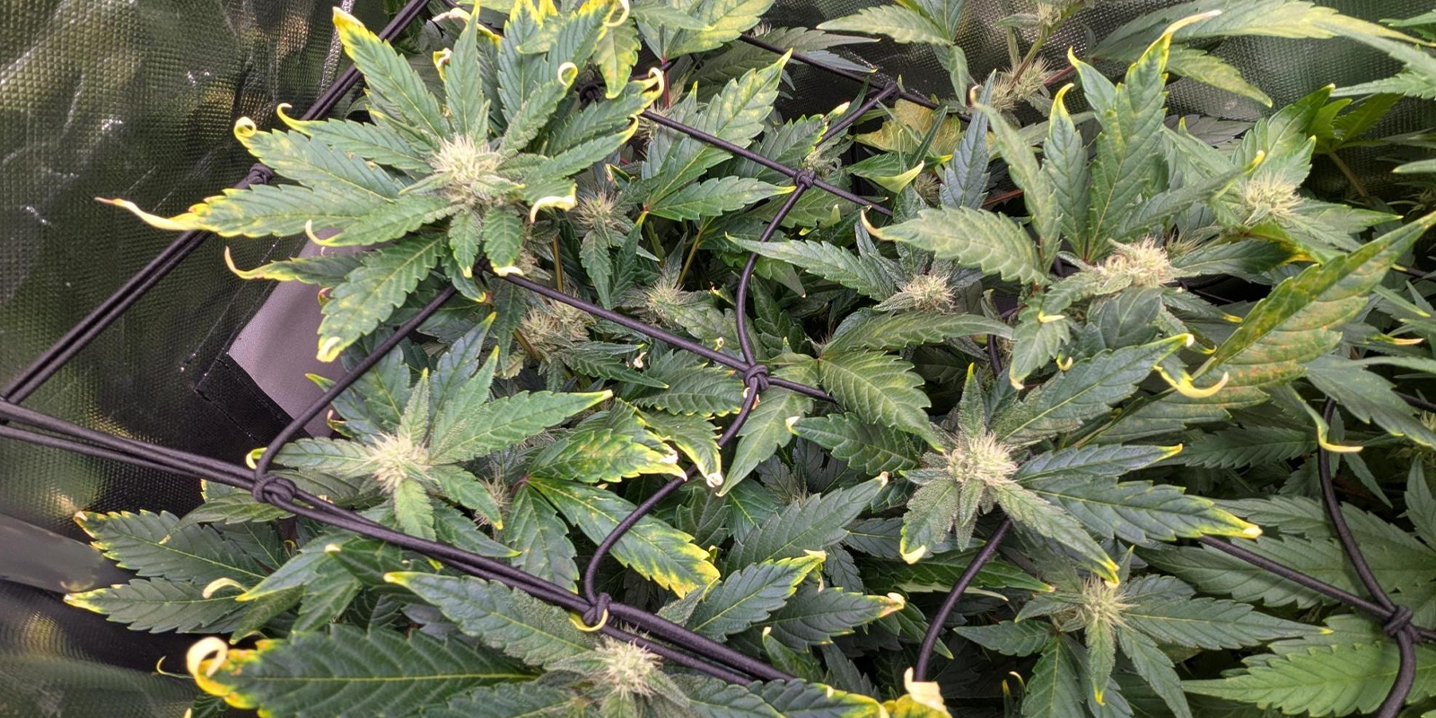 When to be concerned When to be concerned